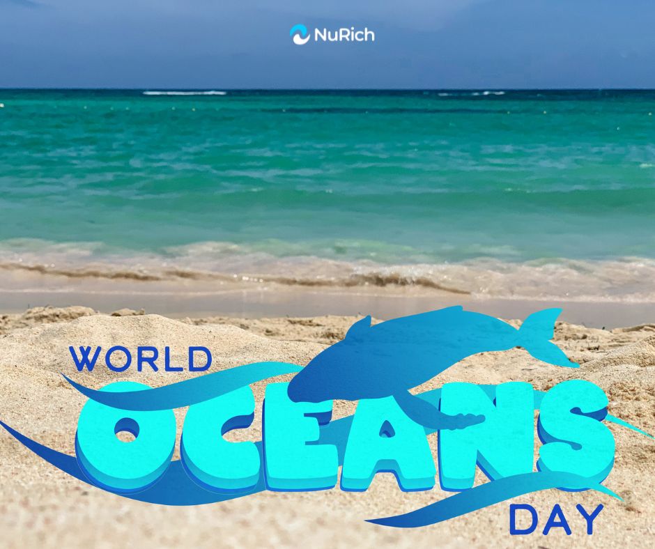 🌊 World Ocean Day: Protecting Our Blue Planet, One Ripple at a Time